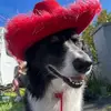 hazelunderhill3 - @hazelunderhill3 - TikTok