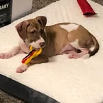 Cypress Hazel Utley - @cypresshazel - Instagram