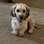 Hazel Vance - Facebook