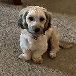 Hazel Vance - @peakslady123 - Instagram