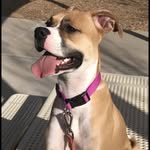 Hazel Vaughn - @hazel_vaughn - Instagram
