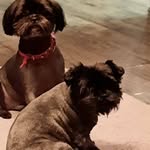 Hazel Vaughn - @mclearhazel - Instagram