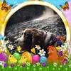 hazelsaveall - @hazelsaveall - TikTok