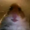 lana fp's go away and get God - @hazel_veal - TikTok