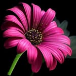 Hazel Vickers - @hazel.vickers.12 - Instagram