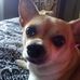 Hazel Vickers - Facebook