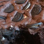 Hazel Bakes - @hazel.waite.9 - Instagram
