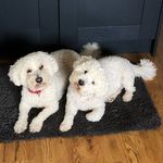 Hazel Waite - @nonniehaz - Instagram