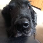 Hazel Wakefield - @hwakey05 - Instagram