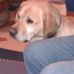 Hazel Waller - Facebook