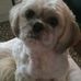 Hazelwaller Waller - Facebook