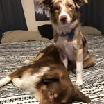 Tripp & Hazel Waller - @tripp_hazel_ - Instagram