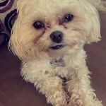 Hazel Walters - @hazel.waltersxxc - Instagram