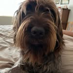 Hazel Walters - @haziesun - Instagram