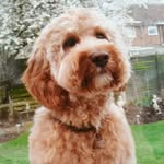 hazel warner - @hazelwarner9 - Instagram