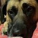Hazel Warner - Facebook