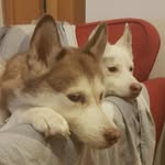 Hazel Watts - @hazel_wd39 - Instagram