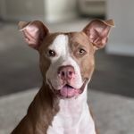 Hazel - @hazelwayzel - Instagram