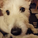 hazel way - @hazelway3 - Instagram