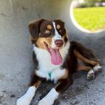 Hazel - @hazel_maple_weaver - Instagram