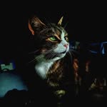 Hazel Weir - @hazel_weir__design - Instagram
