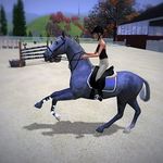 🎶Hazel Weller 🎶 - @hazels.horses3 - Instagram