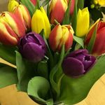 Hazel West - @hazel.west.77715 - Instagram