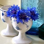 Hazel West-Sherring - @jam_jars_and_eggcups - Instagram