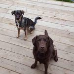 Henry & Hazel Westbrook - @henryandhazelbagels - Instagram