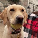 Hazel - @hazelwhitfield2020 - Instagram