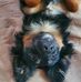 Hazel Whitfield - Facebook