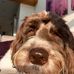 Hazel Wiggins - Facebook