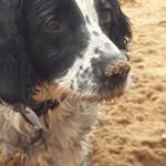 Hazel Wiggins - @hazel.wiggins.75 - Instagram