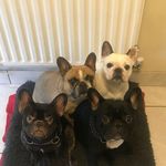 Hazel Wilkinson - @hazelwilkinson4 - Instagram