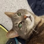 Hazel Wolf - @hazelwolf2001 - Instagram