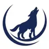 hazelwolf.little miss mr - @hazelwolf.littlemissmr - TikTok