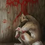 Wolf Hazel - @hazel_wolf199656 - Instagram