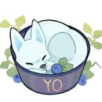 wolfjun - @hazel_wolf_jun - Instagram