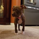 Hazel Grace Woods - @hazel_woods2468 - Instagram
