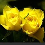Hazel Wynn - Facebook