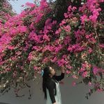 Hazel Wynn - @rarman199 - Instagram