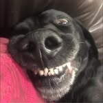 Heath Ball - @heathball1970 - Instagram