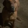 heathball - @heathball - TikTok