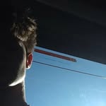 @heathballen11 - Instagram