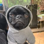 Heath Barrett - @heathbarrett6426 - Instagram
