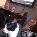 Heather Bates - Facebook