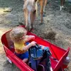 Heather Beasley - @heather.beasley70 - TikTok