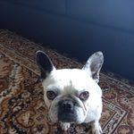 Heath Browning - @heathbrowning81 - Instagram
