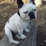 Heath Browning - @heath.browning.965 - Instagram