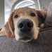 Bryant Heath - Facebook